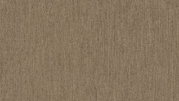 Platinum (AP 109)