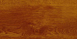 Gouden Eik (AP 23)